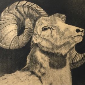 Meet your Posher, Shanier